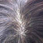 20111206